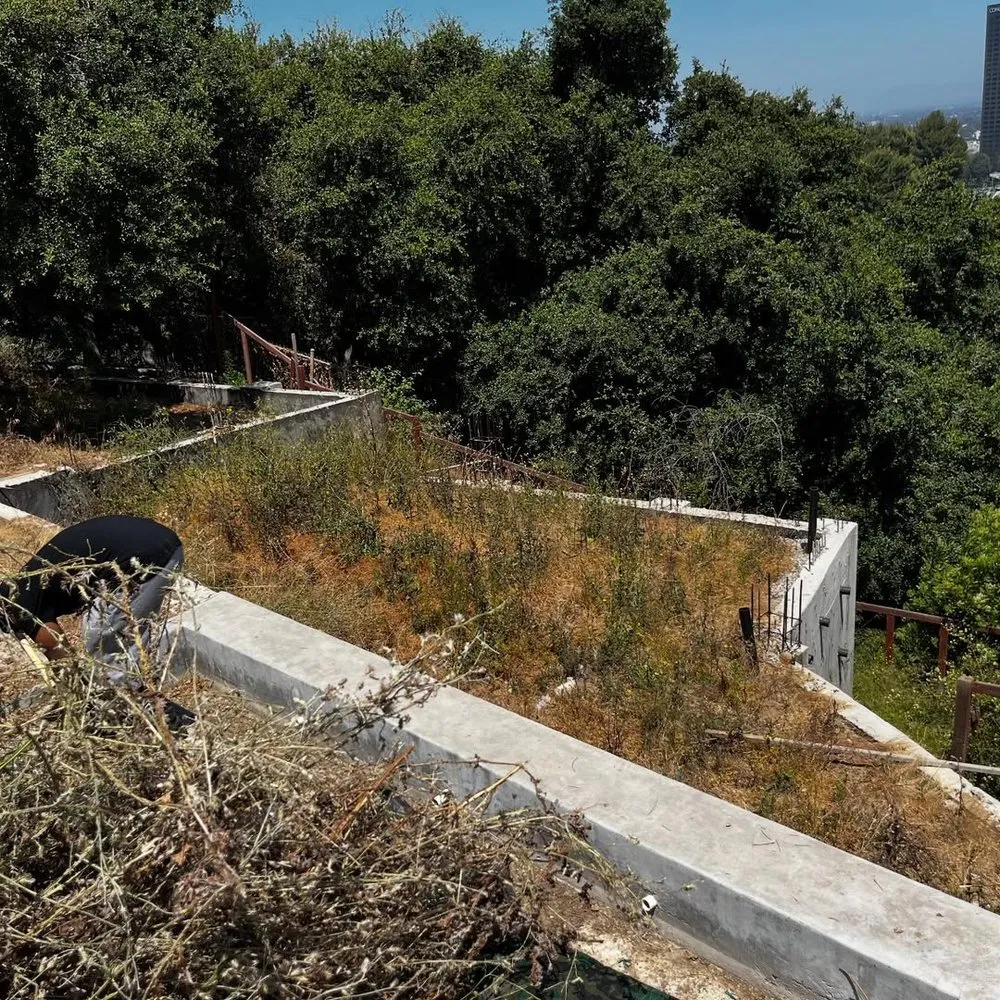 Local residential landscaping in Long Beach, CA by Dantastic Services