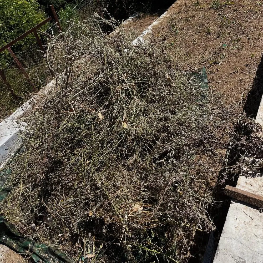 Trusted garden landscaping experts serving Long Beach, CA - Dantastic Services