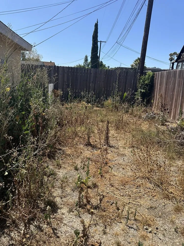 Affordable yard cleanup service for outdoor upgrades in Long Beach, CA by Dantastic Services