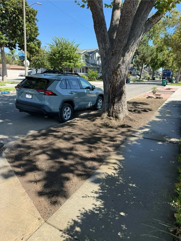 Reliable lawn care service in Long Beach, CA by Dantastic Services