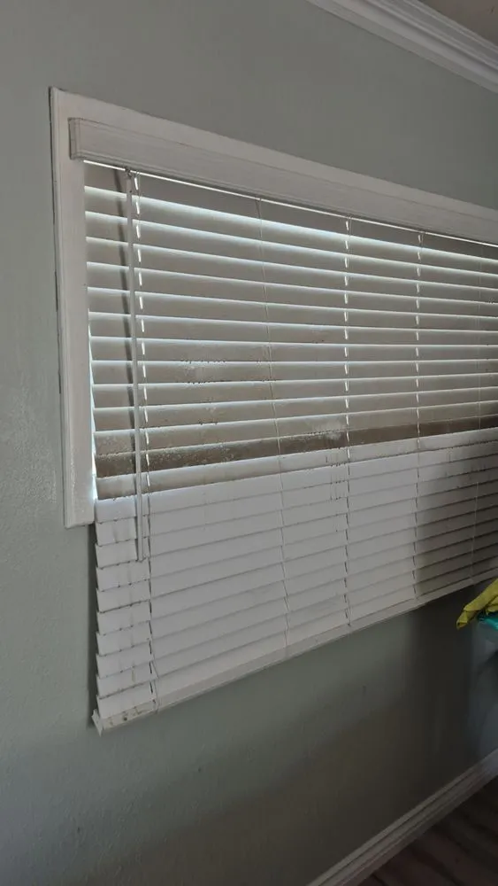 Custom outdoor landscaping for outdoor upgrades in Long Beach, CA by Dantastic Services