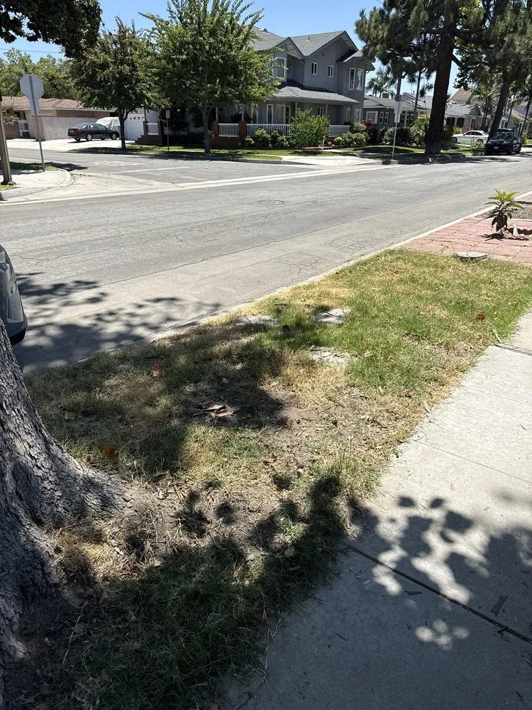 Expert residential landscaping with custom design across Long Beach, CA - Dantastic Services