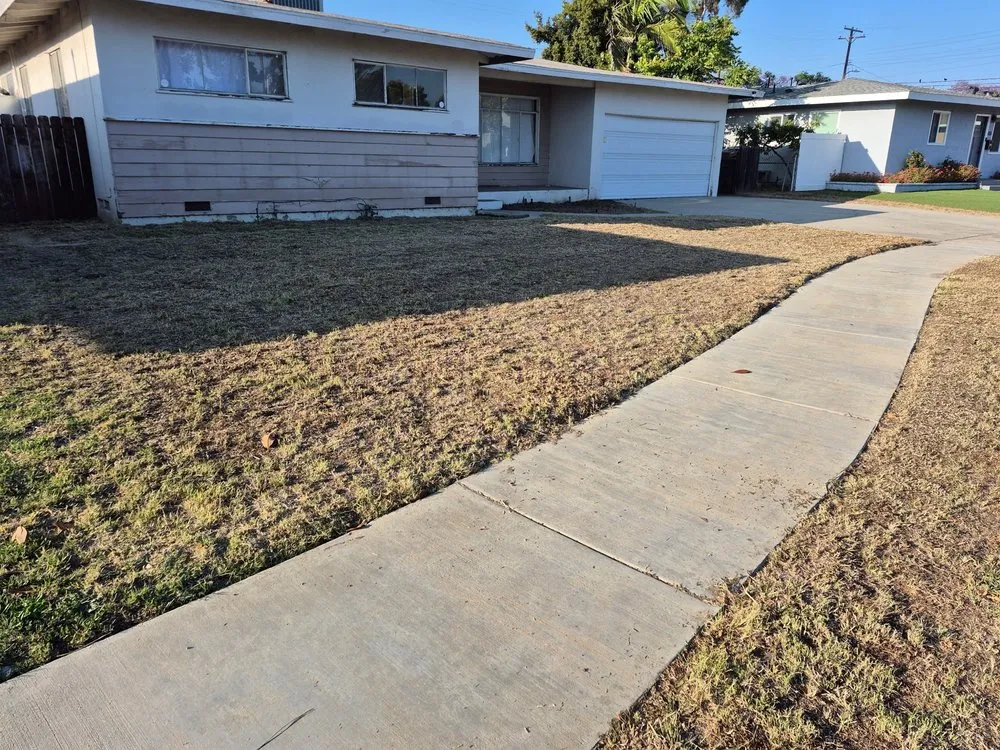 Custom lawn care service for beautiful yards in Long Beach, CA by Dantastic Services