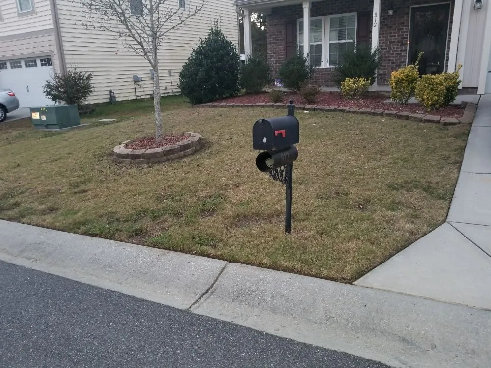 Custom garden landscaping experts serving Rock Hill, SC - Dante Lawn Care Service