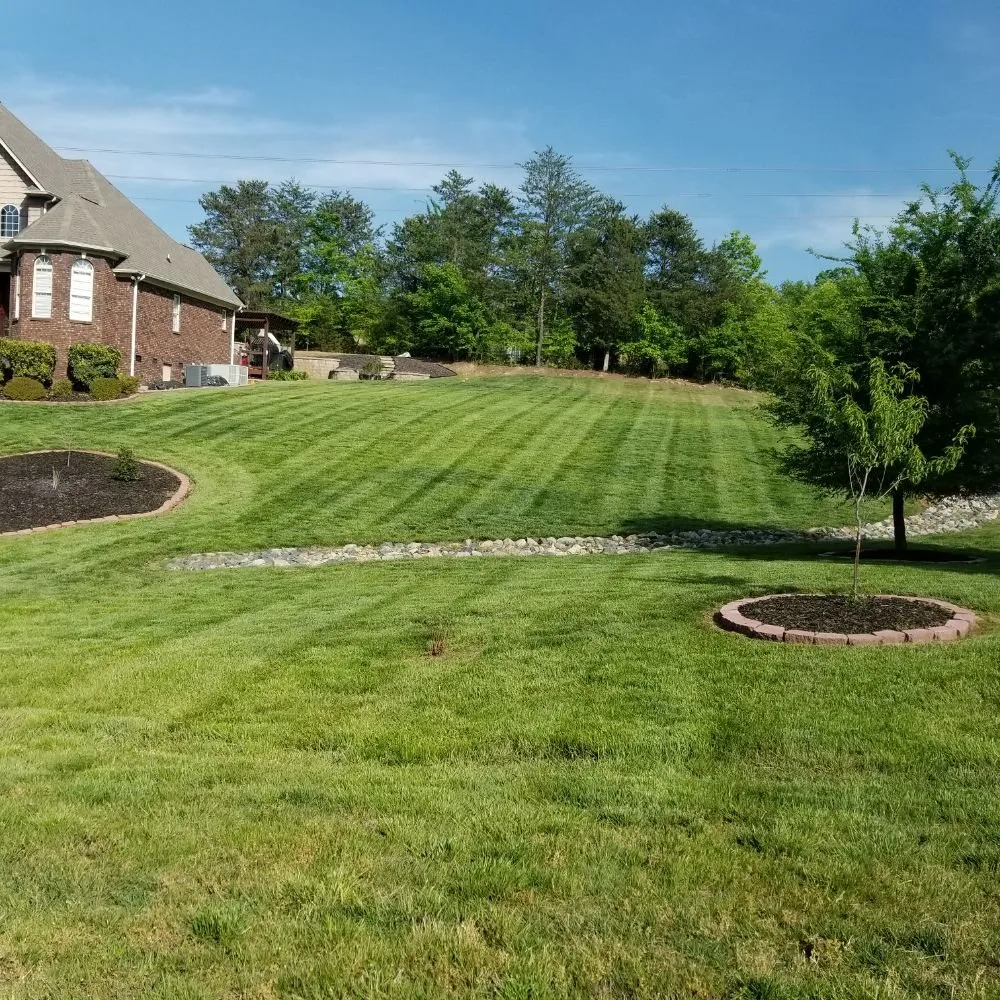 Local residential landscaping experts serving Rock Hill, SC - Dante Lawn Care Service