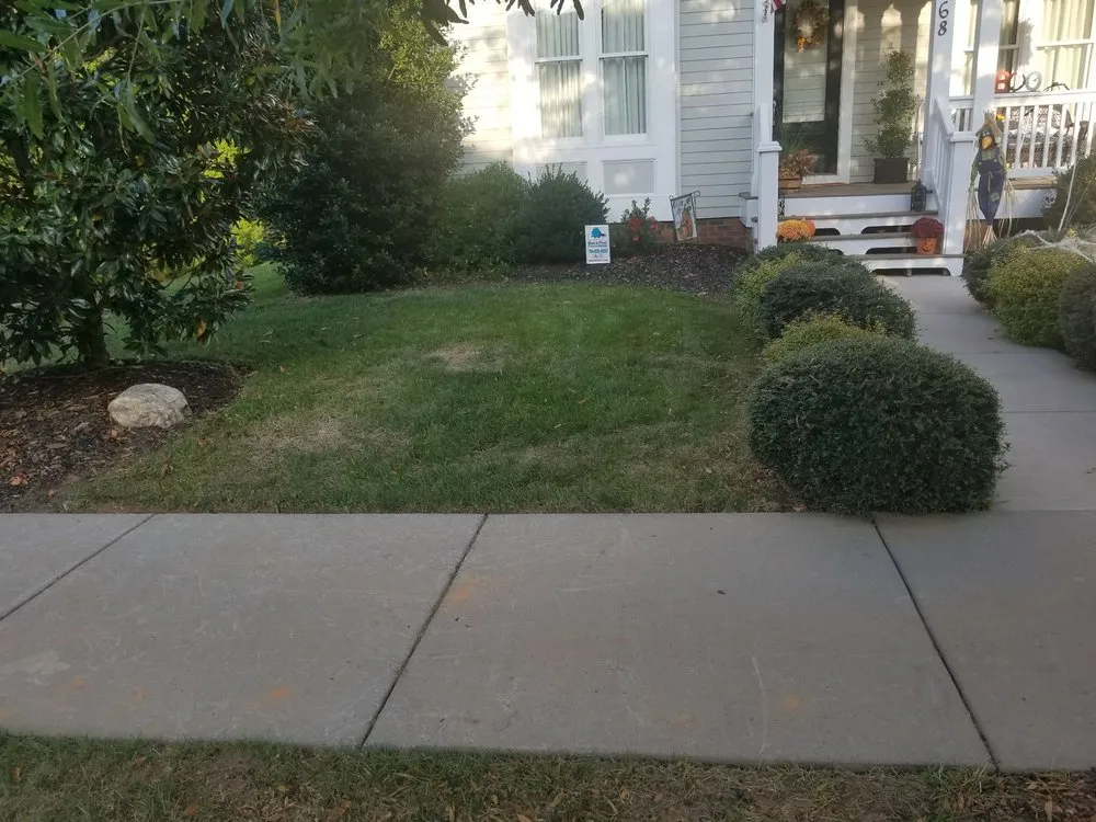 Reliable yard cleanup service experts serving Rock Hill, SC - Dante Lawn Care Service