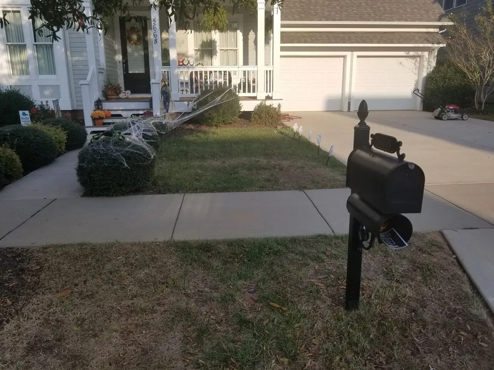 Reliable yard cleanup service in Rock Hill, SC - Dante Lawn Care Service