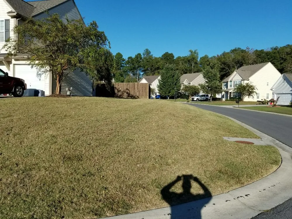 Trusted lawn mowing service for beautiful yards in Rock Hill, SC by Dante Lawn Care Service