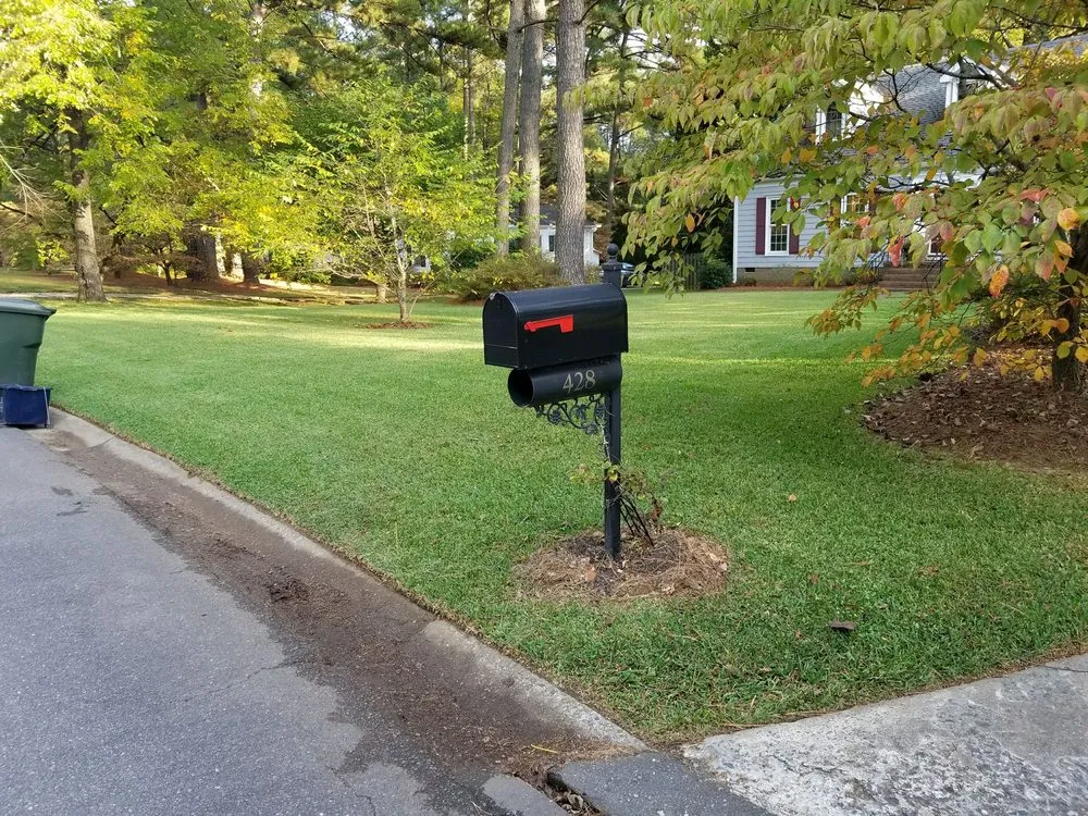 Professional landscape design for year-round maintenance in Rock Hill, SC by Dante Lawn Care Service