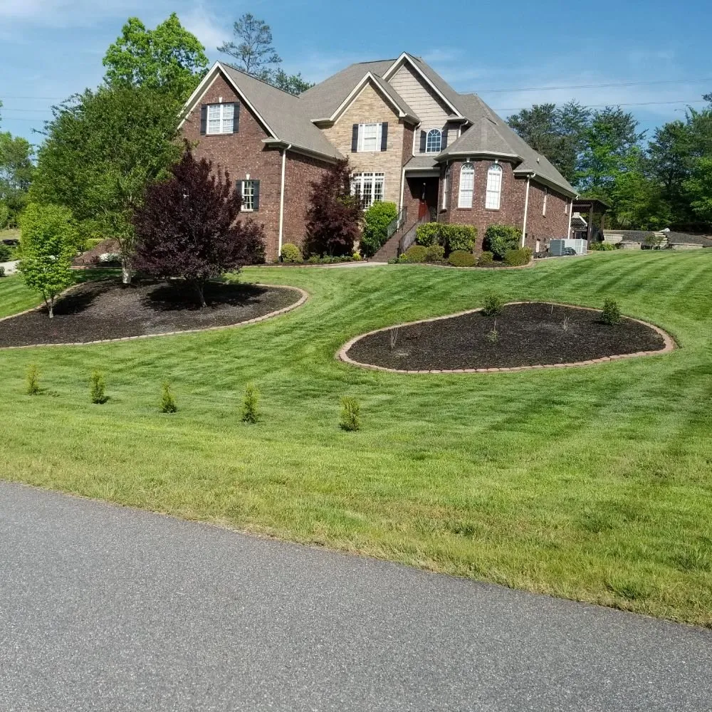 Local yard cleanup service for homes across Rock Hill, SC - Dante Lawn Care Service