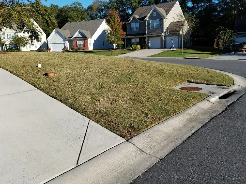 Affordable landscape installation in Rock Hill, SC by Dante Lawn Care Service