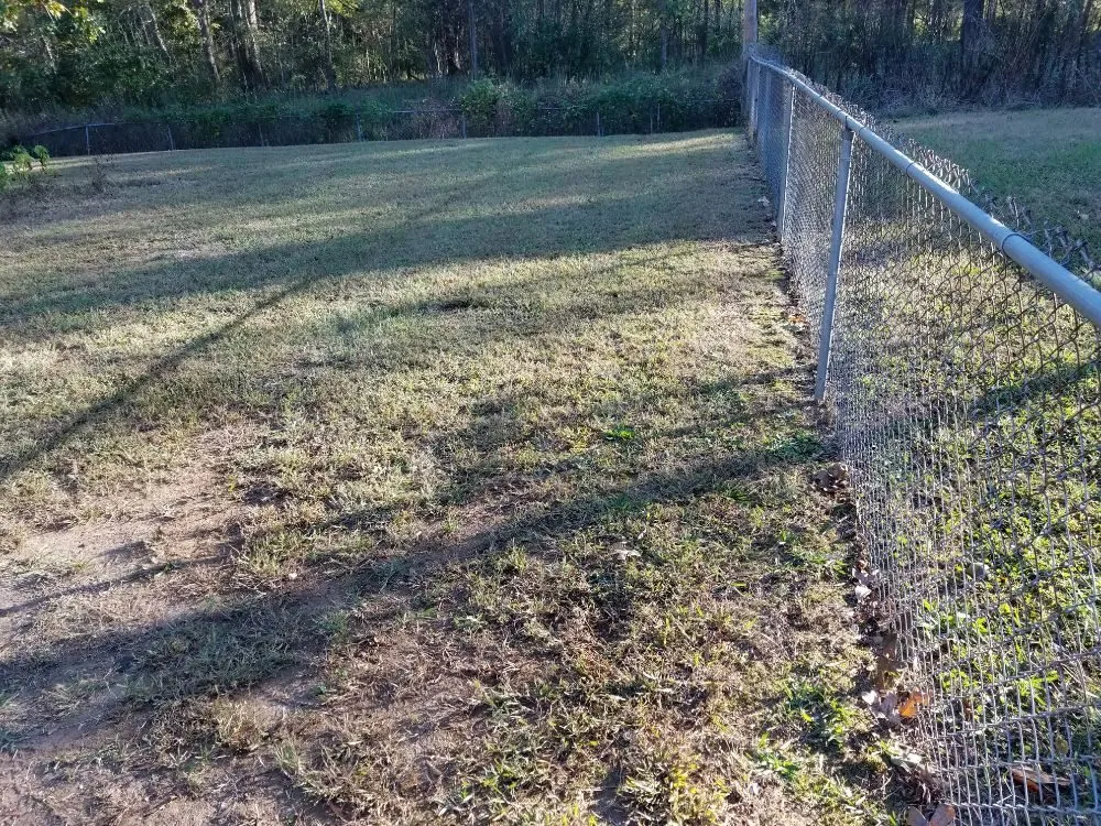 Professional landscaping services experts serving Rock Hill, SC - Dante Lawn Care Service