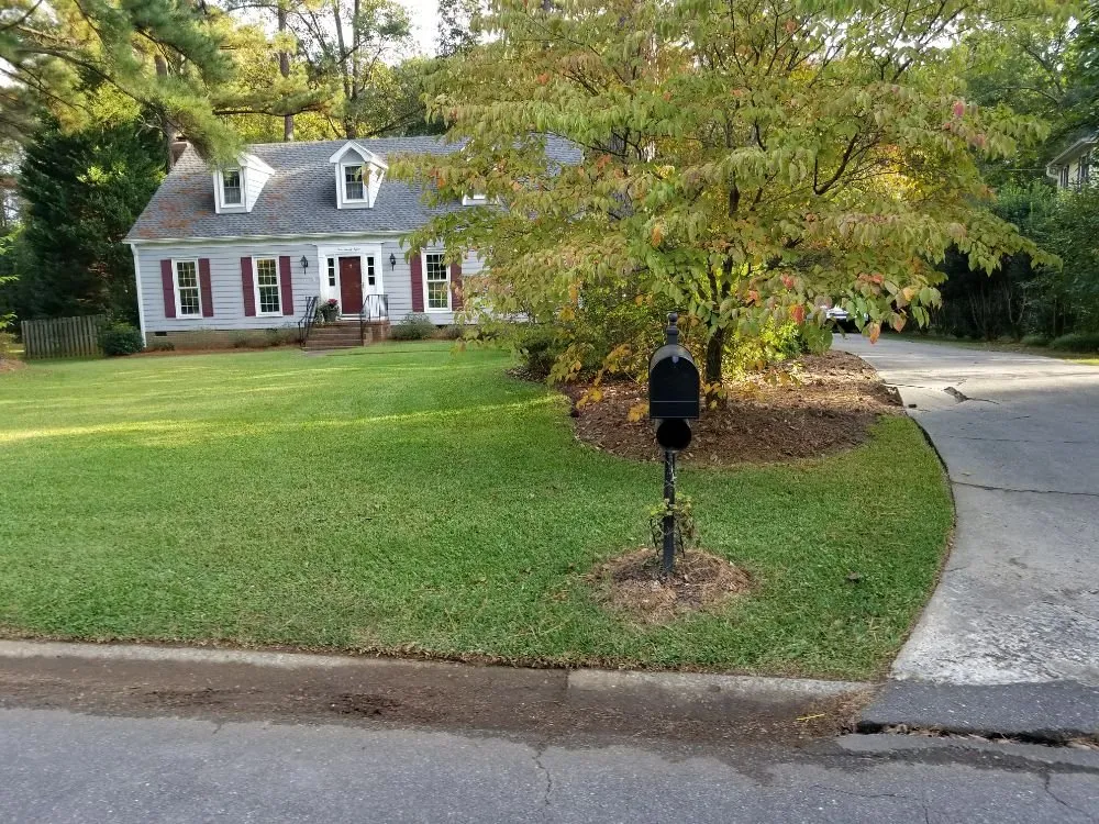 Expert yard cleanup service in Rock Hill, SC by Dante Lawn Care Service