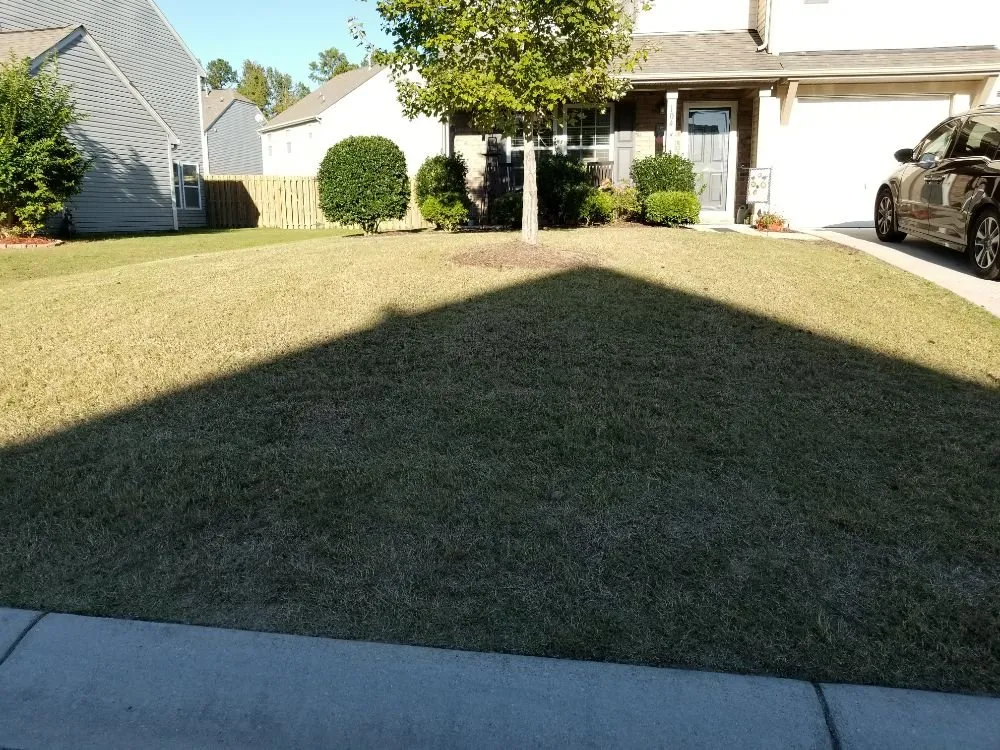 Custom outdoor landscaping for outdoor upgrades in Rock Hill, SC by Dante Lawn Care Service