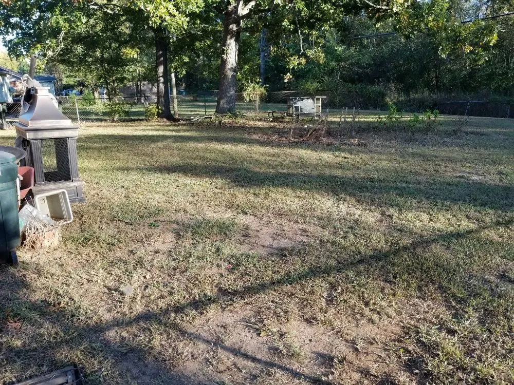 Trusted landscaping services for year-round maintenance in Rock Hill, SC by Dante Lawn Care Service