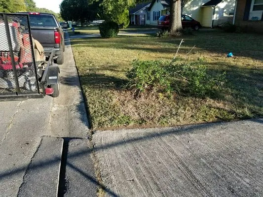 Dante Lawn Care Service Logo