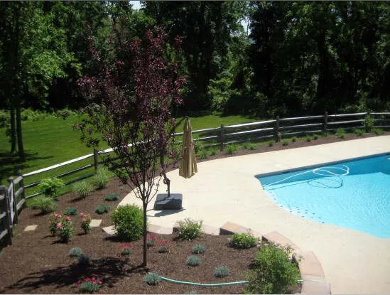 Expert residential landscaping for beautiful yards in Downingtown, PA by D'Antonio Landscaping