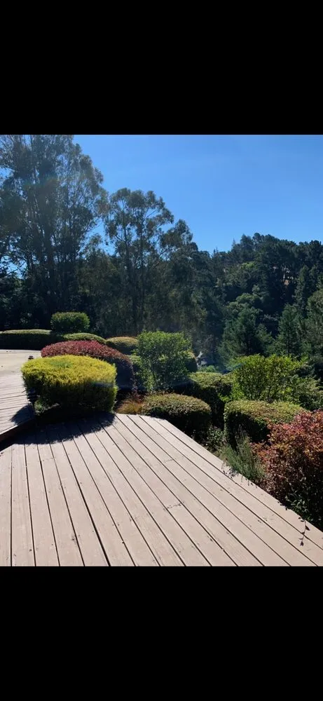 Affordable yard maintenance experts serving Danville, CA - Danville Landscaping