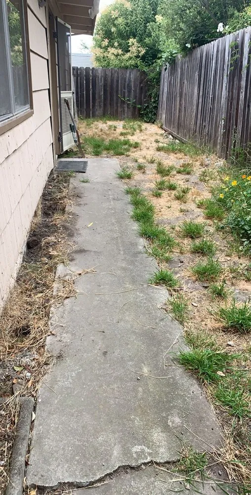 Reliable outdoor landscaping for outdoor upgrades across Danville, CA - Danville Landscaping