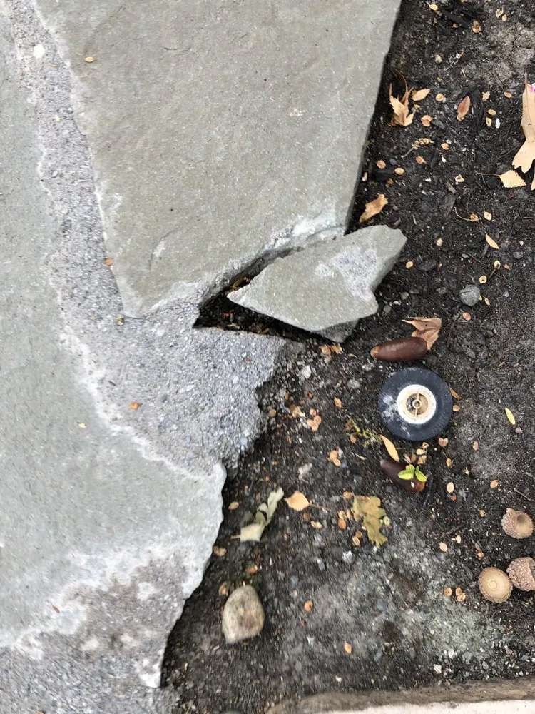 Top-rated lawn mowing service in Danville, CA by Danville Landscaping