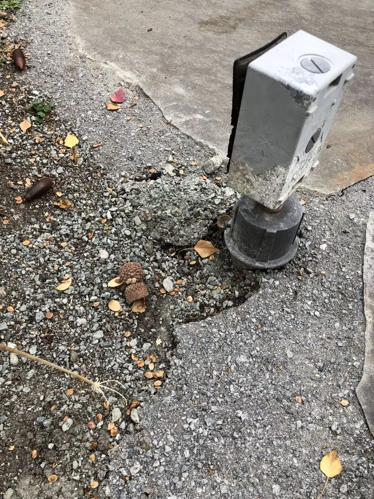 Professional lawn mowing service in Danville, CA by Danville Landscaping