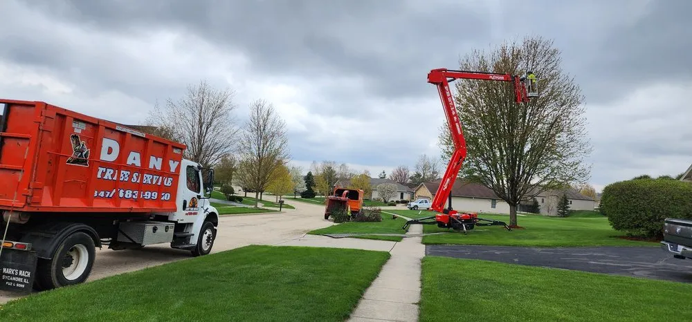 Professional landscape installation in Hampshire, IL - Dany Tree Service