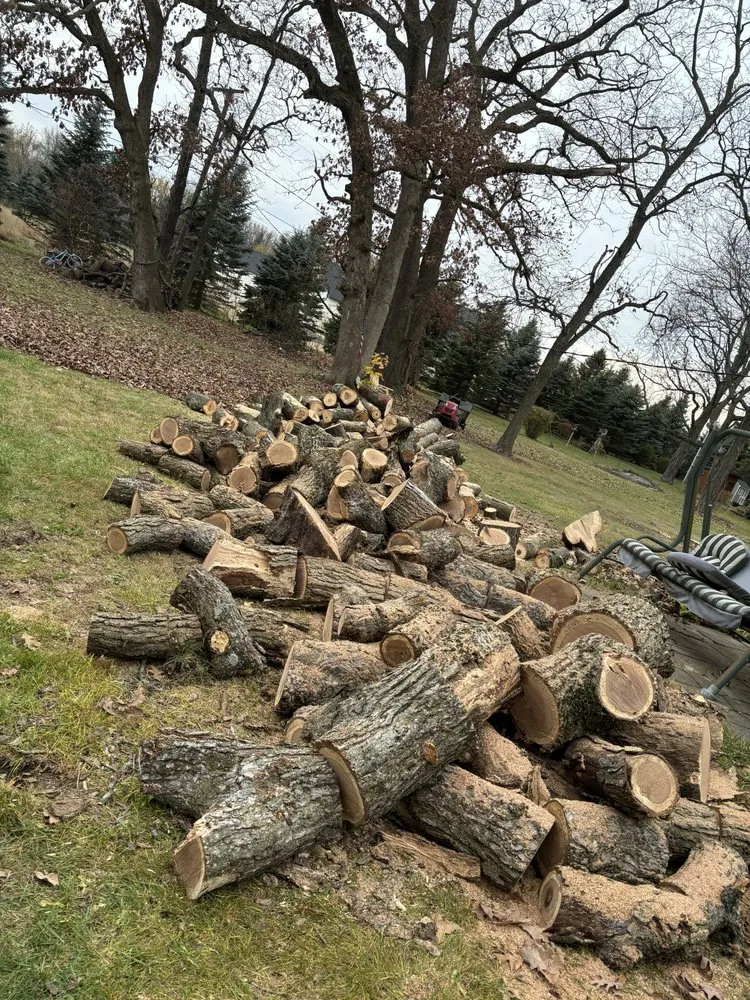 Local landscape design in Hampshire, IL - Dany Tree Service