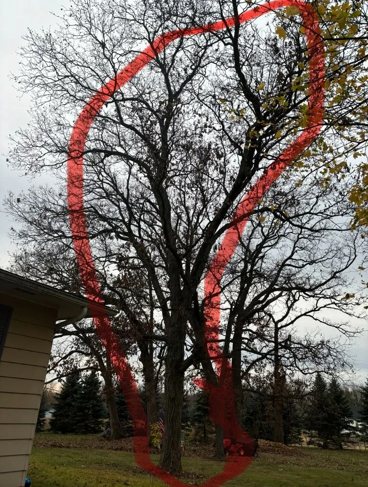 Professional lawn care service for homes in Hampshire, IL by Dany Tree Service