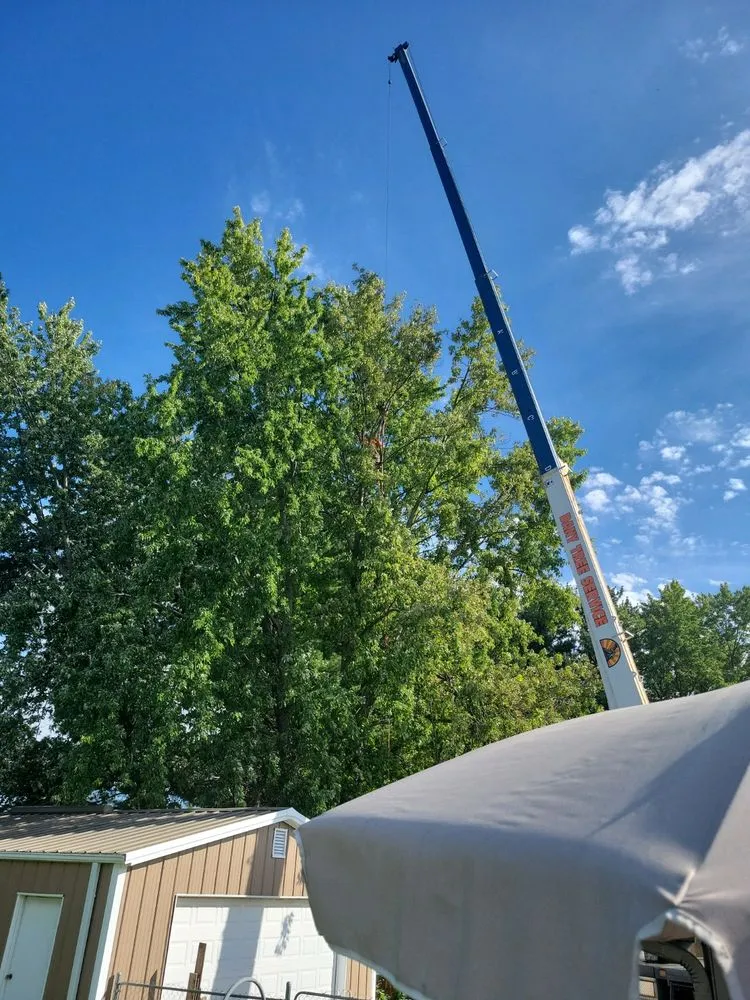 Top-rated garden landscaping for residential properties in Hampshire, IL by Dany Tree Service