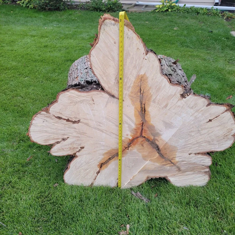 Affordable yard maintenance for homes in Hampshire, IL by Dany Tree Service