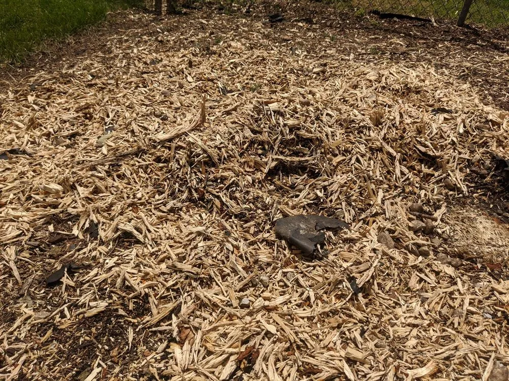 Reliable landscape installation for beautiful yards in Hampshire, IL by Dany Tree Service