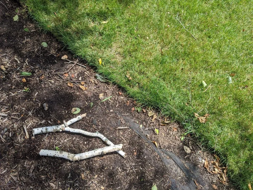 Local garden landscaping for outdoor upgrades in Hampshire, IL by Dany Tree Service