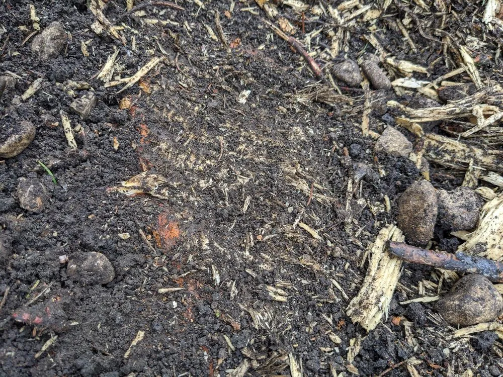 Reliable residential landscaping for year-round maintenance in Hampshire, IL by Dany Tree Service