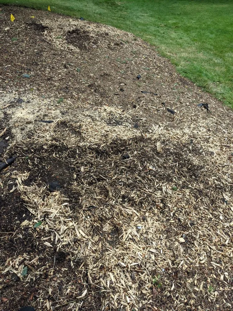 Expert lawn care service in Hampshire, IL - Dany Tree Service