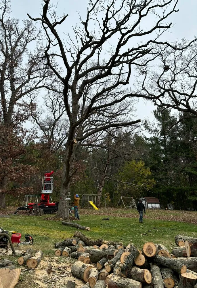 Professional lawn care service for beautiful yards in Hampshire, IL by Dany Tree Service