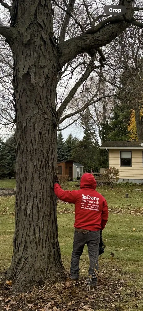 Expert garden landscaping for year-round maintenance in Hampshire, IL by Dany Tree Service