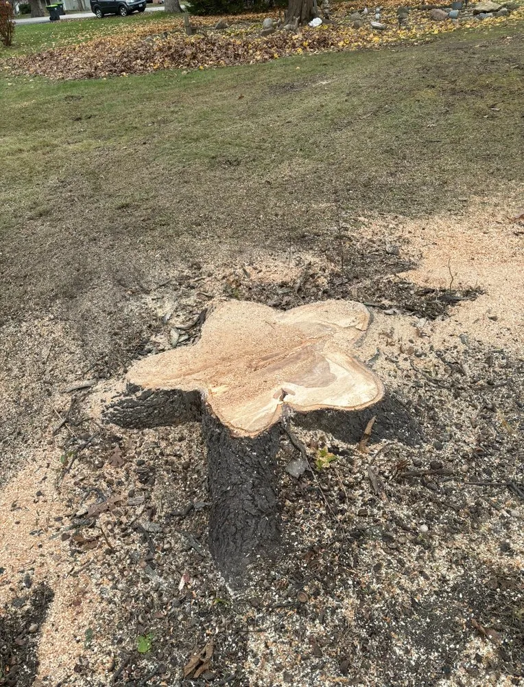 Trusted garden landscaping in Hampshire, IL by Dany Tree Service