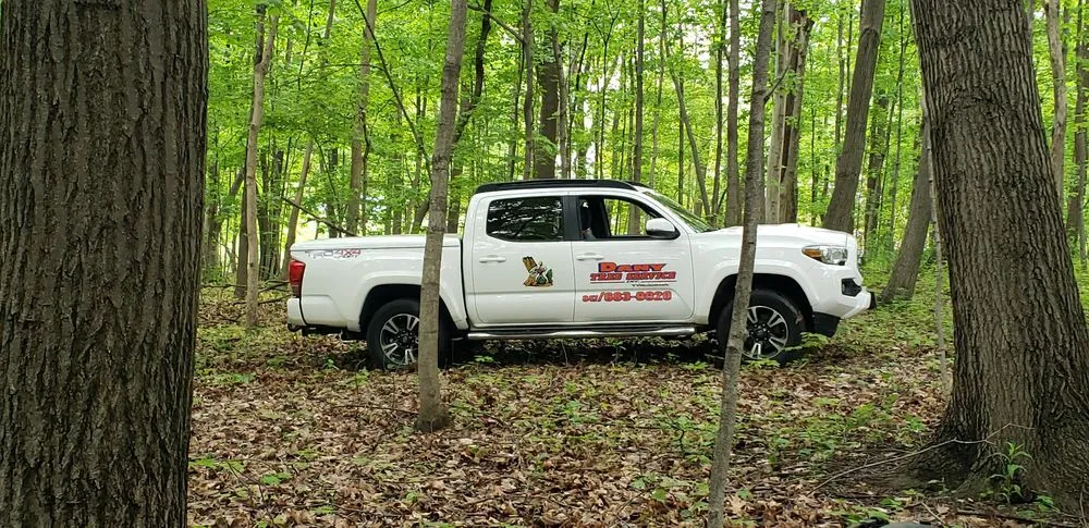 Custom residential landscaping in Hampshire, IL by Dany Tree Service