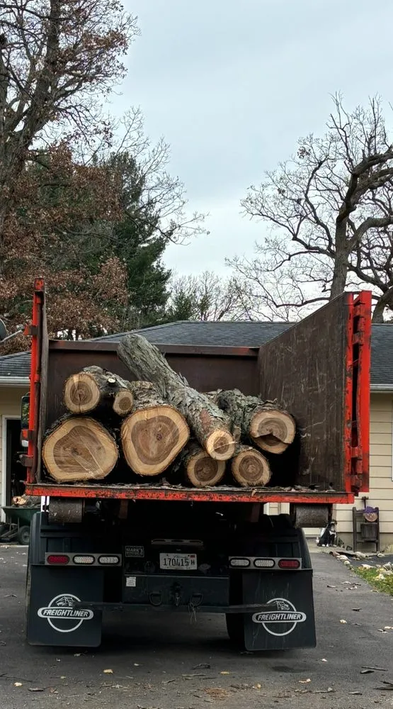 Expert lawn care service experts serving Hampshire, IL - Dany Tree Service