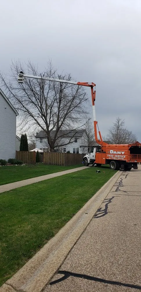 Expert lawn care service in Hampshire, IL by Dany Tree Service
