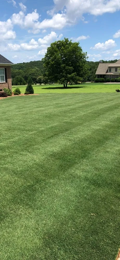 Custom landscape design in Liberty, SC by Danyels Turf