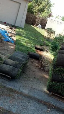 Top-rated yard maintenance in Elk Grove, CA by Dao Landscaping