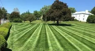 Affordable lawn mowing service in Willis, MI by Dappers Landscaping
