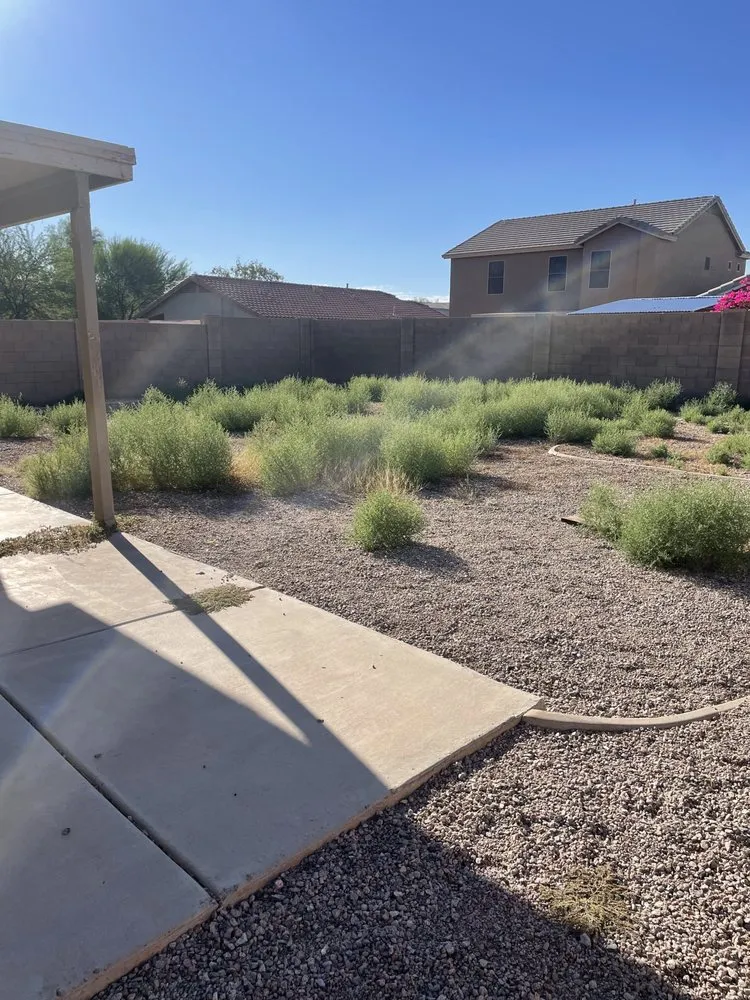 Top-rated yard cleanup service experts serving Maricopa, AZ - Daprince Landscaping