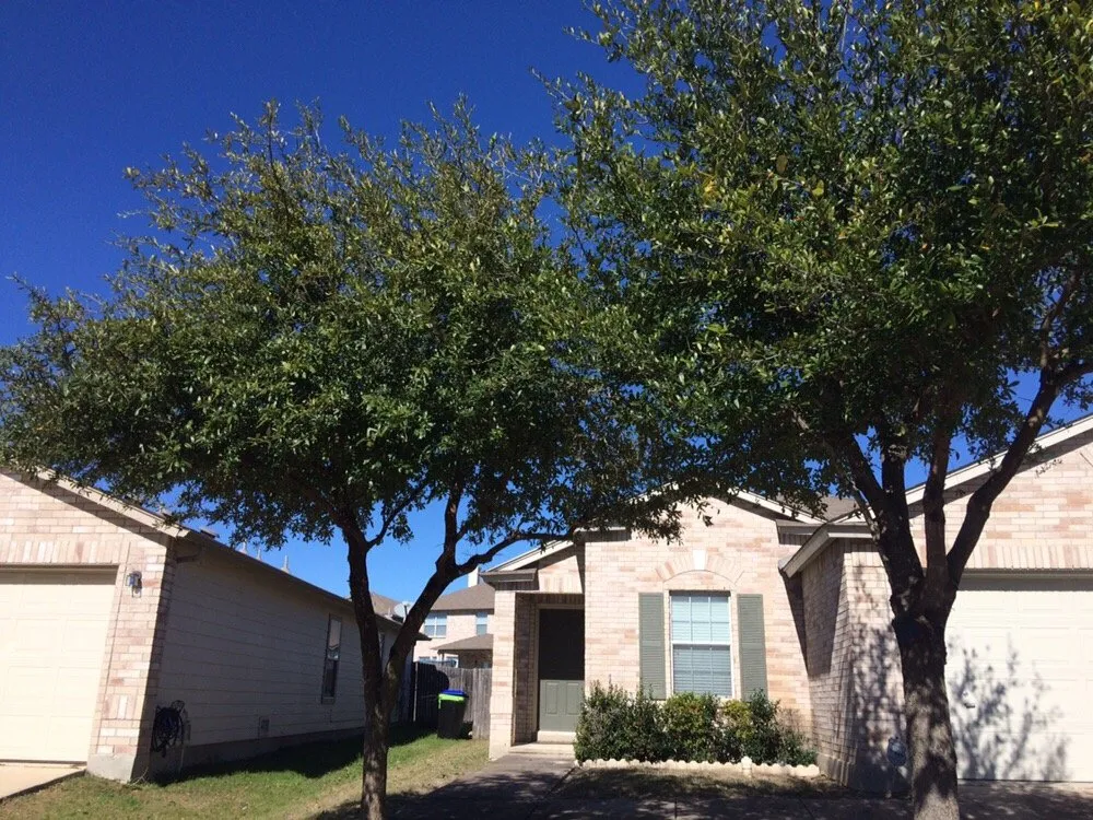 Trusted garden landscaping in San Antonio, TX - D.A.R. Lawn Service