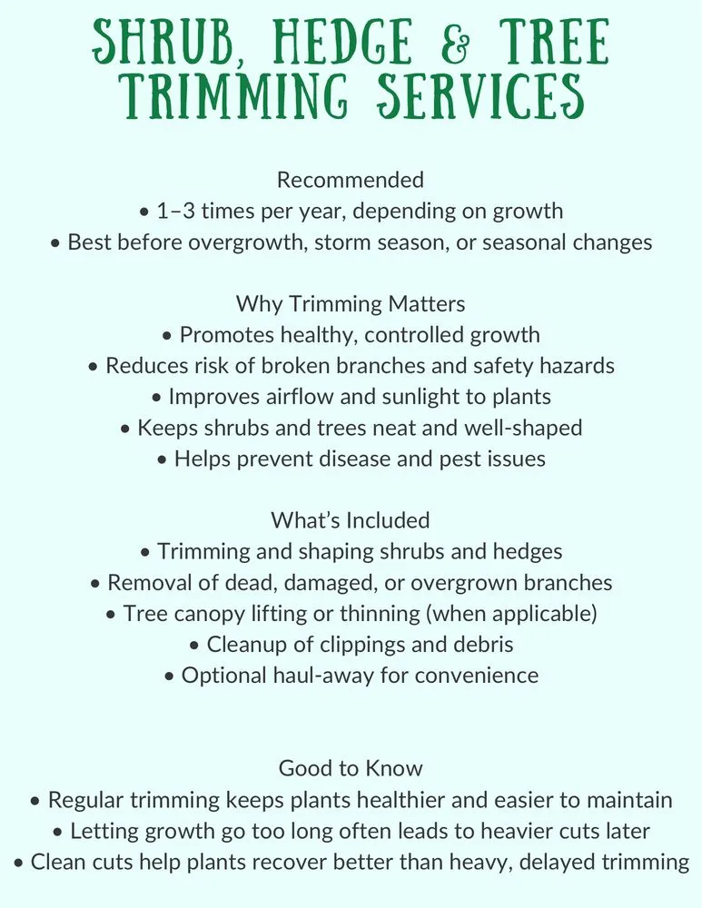 Expert yard maintenance in San Antonio, TX by D.A.R. Lawn Service