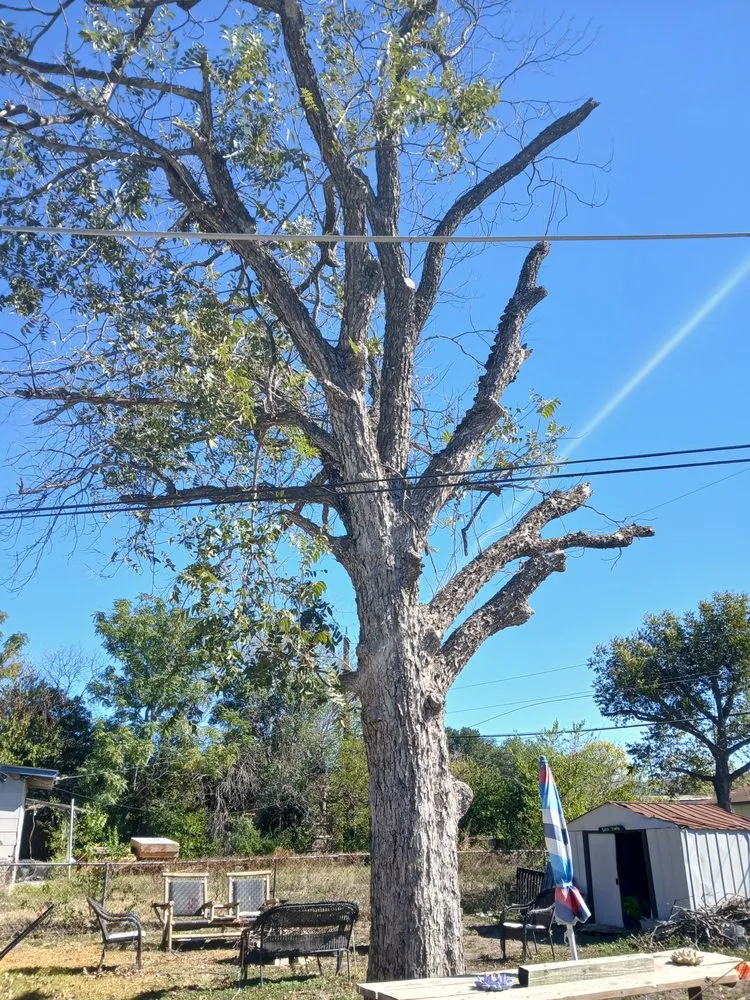 Affordable outdoor landscaping experts serving San Antonio, TX - D.A.R. Lawn Service