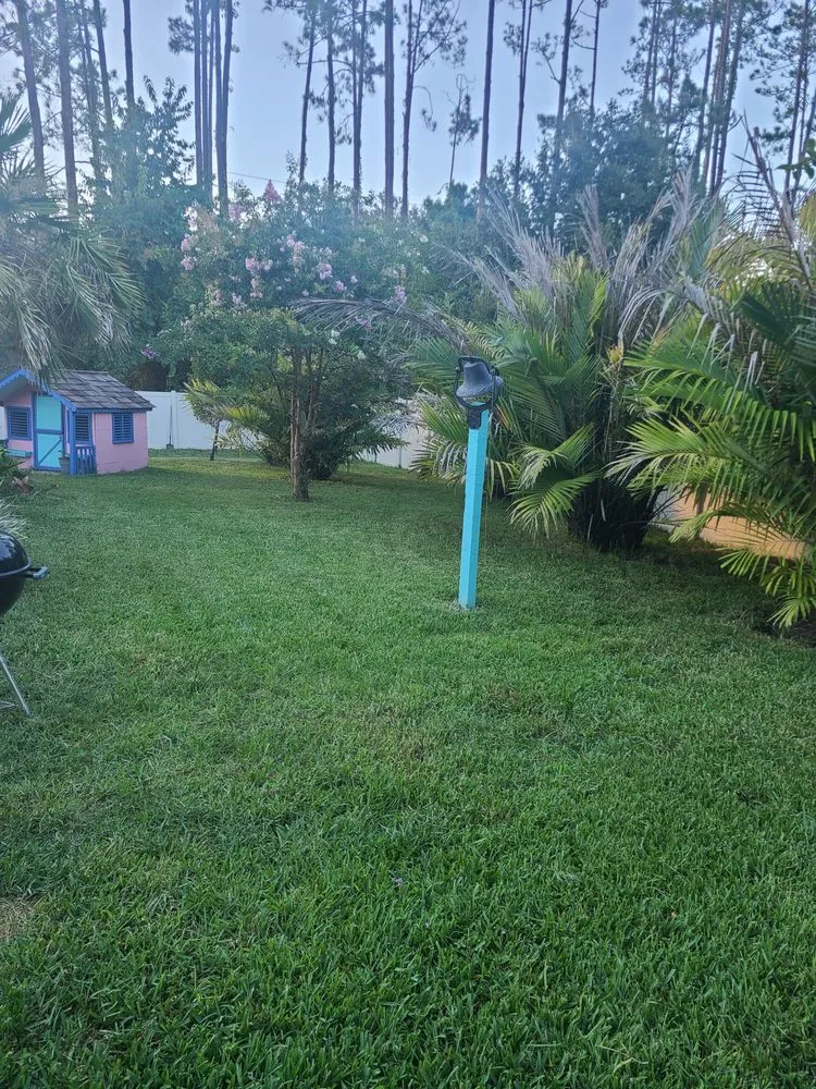 Reliable lawn care service experts serving St. Augustine, FL - Darbydarb Landscaping