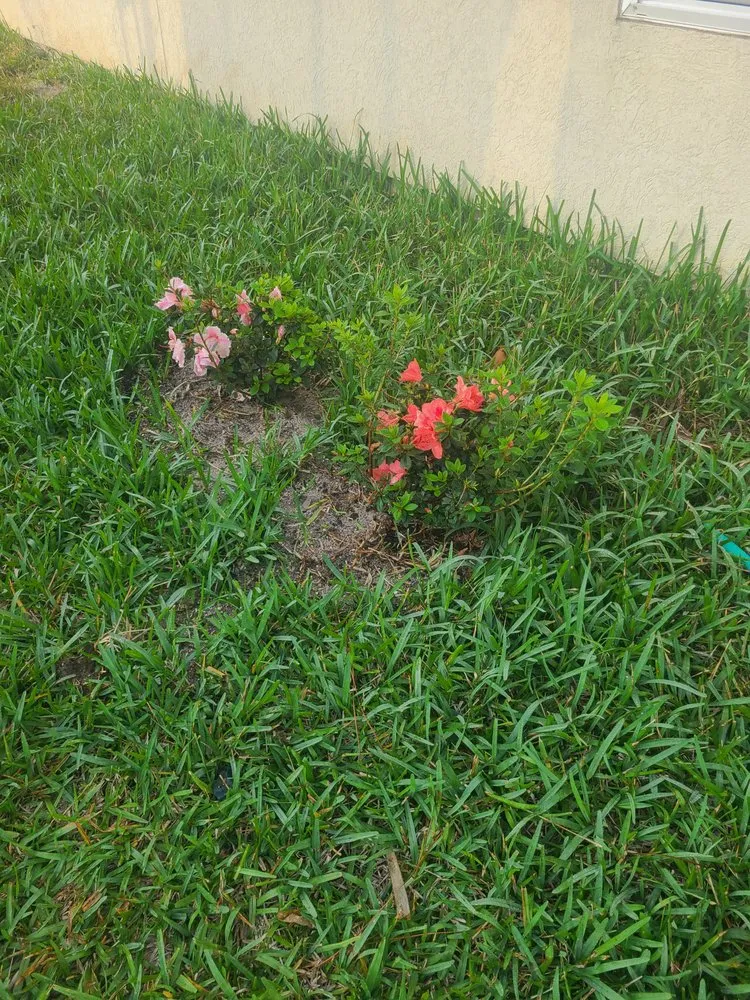 Trusted garden landscaping experts serving St. Augustine, FL - Darbydarb Landscaping