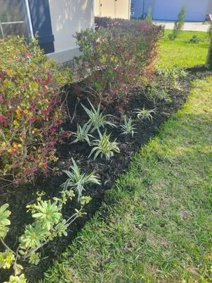 Darbydarb Landscaping Logo